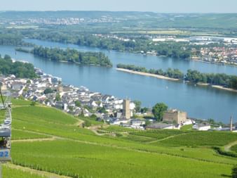 ruedesheim-seilbahn