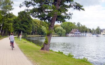 Bike path along the lake in Roebel