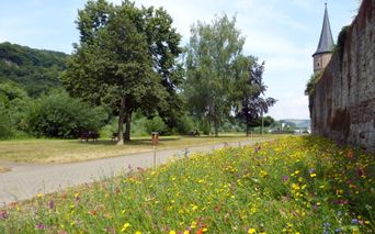 Cycle path near Karlstadt