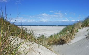 Strand an der niederländischen Insel-Küste
