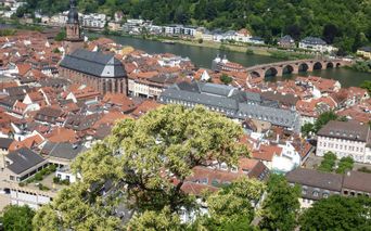 Neckar-View-Castle-on-Heidelberg