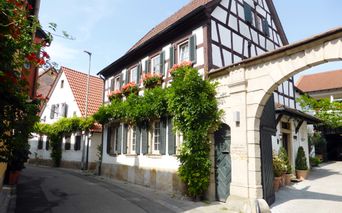 Palatinate-Freinsheim-Winery-Langenwalter-Gauglitz