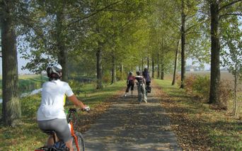 Cycle path to Ferrara