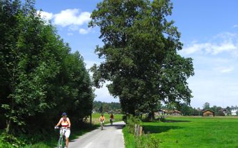 Muenchner-Seenrunde-Cycle-Route