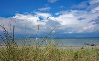 ostsee-duenen-am-strand