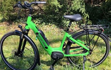 Velociped E-Bike Velo de Ville in green Bright green Velociped E-Bike Velo de Ville with black components, rear rack, and suspension fork parked on grass near trees.