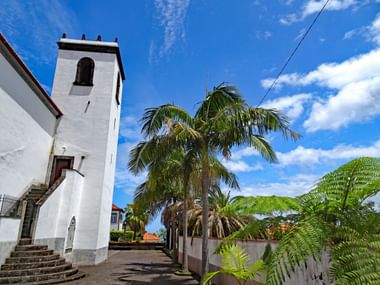 White church with square bell tower on Madeira, surrounded by palm trees and tropical vegetation under a blue sky with white clouds.