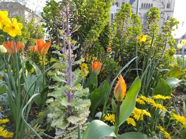 Spring in Koblenz
