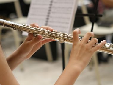Classical music with flute Classical music with flute