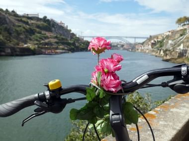 Fahrradlenker mit rosa Rosen geschmückt mit Blick auf den Douro in Portugal, Brücke und Gebäude am Hang sichtbar.
