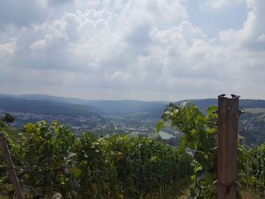 Blick auf Saarburg