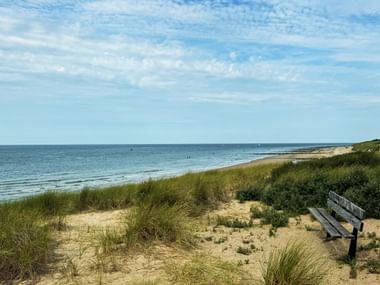 Coastal landscape in Zeeland with sandy beach, grass-covered dunes, and wooden bench. Calm blue sea under partly cloudy sky.