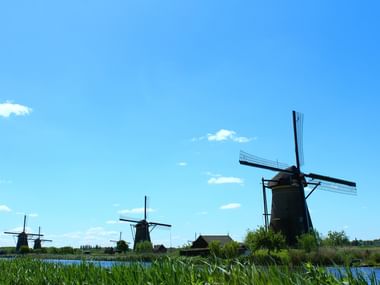 Reihe traditioneller niederländischer Windmühlen in Kinderdijk entlang eines Wasserwegs mit grünem Schilf unter blauem Himmel.