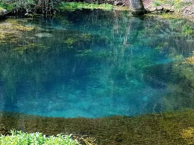 Kristallklarer türkisfarbener Quelltopf in Essing, umgeben von grüner Vegetation und felsigen Ufern. Der Blautopf zeigt sichtbare Unterwasserstrukturen.
