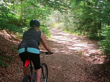 Cyclist with helmet riding on a dirt trail through a lush green forest with tall trees and dappled sunlight.