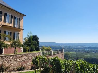 Ausblick von Schloss Johannisberg