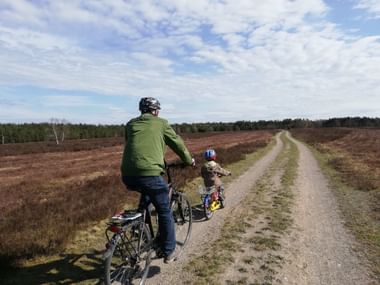 Ehrhorn bis Wilsede durch Nationalpark Heide