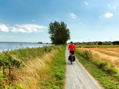 Female cyclist in red shirt riding on paved coastal path in Denmark with water on left, golden fields on right, and blue sky above.