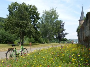 Green bicycle parked beside colorful wildflower meadow in Karlstadt. Historic church tower and stone wall visible in background with trees.