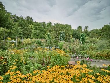 Botanischer Garten in Marburg