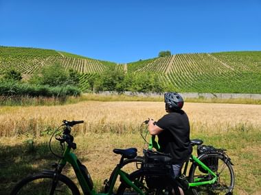 Radfahrer auf grünem E-Bike pausiert in goldenem Feld und betrachtet terrassierte Weinberge an Hängen unter blauem Himmel am Main-Radweg.