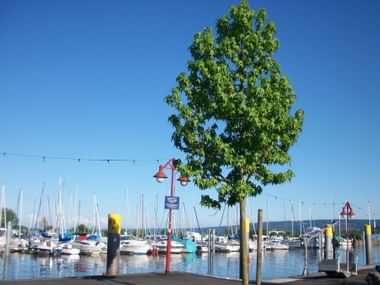 Seeufer in Konstanz
