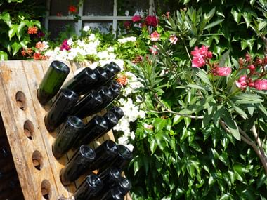 Weinproben an der Mosel