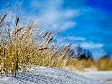 Bornholm Strand