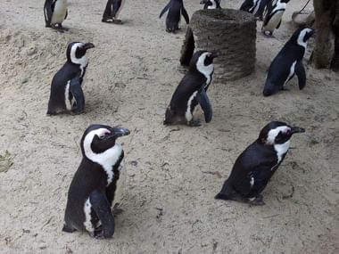 Zoo Münster