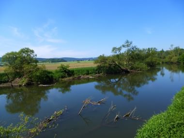 Werra-Fluss fließt durch grüne Landschaft mit gefallenen Ästen im Wasser, umgeben von üppiger Vegetation und Feldern.