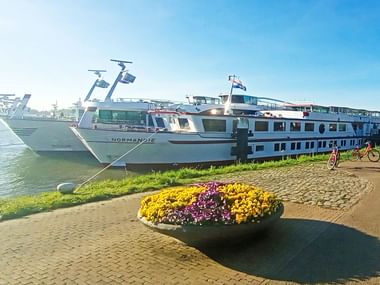 Weiß-blaues Flusskreuzfahrtschiff am Flussufer mit buntem Blumenkübel und Fahrrädern auf gepflastertem Weg im Vordergrund.
