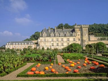 Schloss Villandry im Loire-Tal mit formalen Ziergärten mit orangefarbenen Kürbissen in geometrischen Mustern auf grünen Rasenflächen.