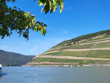 Rhein zwischen Rüdesheim und Bad Kreuznach