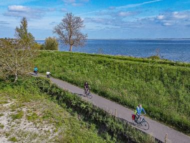 Aerial view of cyclists on paved path through green coastal landscape near Muiden, Holland. Blue water and trees visible in background.