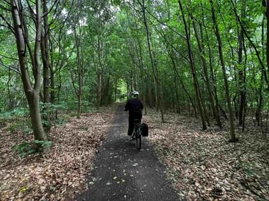 First-person view cycling on forest path in Sacrower See nature reserve. Cyclist ahead on tree-lined trail with fallen leaves.