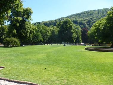 Large green lawn in Neckar Park Heidelberg surrounded by mature trees with forested hills in the background under a clear blue sky.