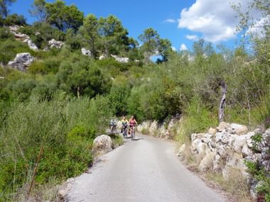 Radfahrer auf Mallorca Radweg Gruppe von Radfahrern auf einem asphaltierten Radweg auf Mallorca, umgeben von mediterraner Vegetation, Kalksteinfelsen und Pinien unter blauem Himmel.