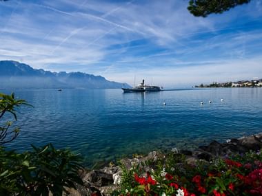 Paddle steamer sailing on Lake Geneva with mountains in background. Colorful flowers frame the view from shore, swans swim in clear blue water.