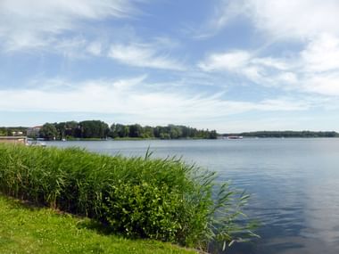 Peaceful lake view near Malchow with green reeds in foreground, calm water, wooded shoreline with buildings, and cloudy blue sky.
