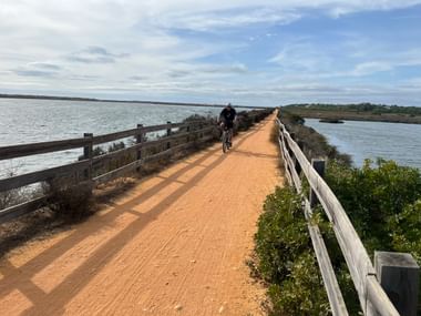 Radfahrer auf Holzsteg-Brücke über Wasser im Naturschutzgebiet Ria Formosa, Algarve. Holzgeländer säumen beide Seiten des Weges.