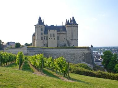 Mittelalterliches Schloss Saumur mit Kegeltürmen auf Hügel über Weinbergen und Loire-Stadt unter blauem Himmel.