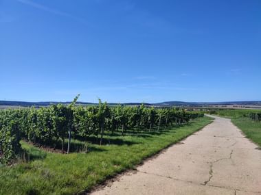 Sonnenschein und blauer Himmel - ein Genuss