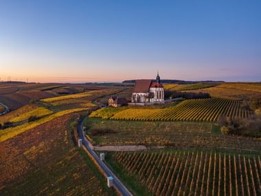 Volkach Maria im Weingarten