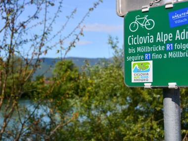 Grüner Wegweiser für Ciclovia Alpe Adria Radweg mit Fahrradsymbol, zeigt Route nach Möllbrücke R1 auf Deutsch und Italienisch.