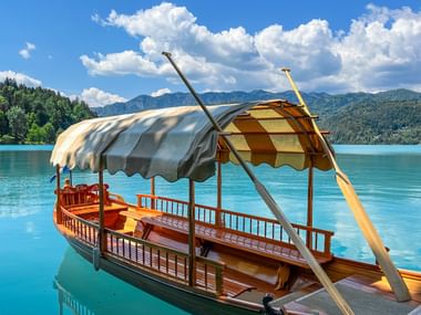 Bled boat