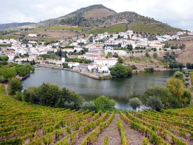 Peso da Regua town along the Douro River surrounded by terraced vineyards on rolling hills under cloudy sky in Portugal.