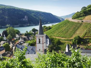 Scenic Rhine valley view with terraced vineyards, village church tower, and river flowing between green hills near Rüdesheim-Assmannshausen.