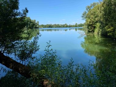 Calm pond with mirror-like surface reflecting blue sky and trees. Dense green vegetation frames the water, with trees lining both shores.