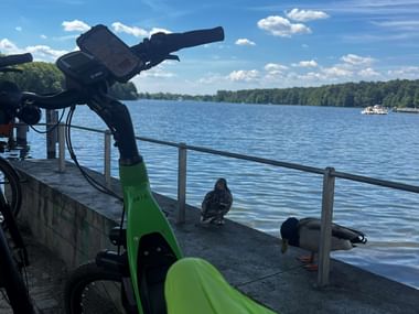 Grünes Fahrrad an einem Holzsteg am Flakensee mit zwei Enten am Wasser. Blauer Himmel mit Wolken und bewaldetes Ufer im Hintergrund.