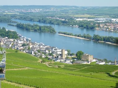 Luftaufnahme von der Rüdesheimer Seilbahn mit Blick auf den Rhein, Weinberge und die historische Stadt mit mittelalterlichen Burgruinen.